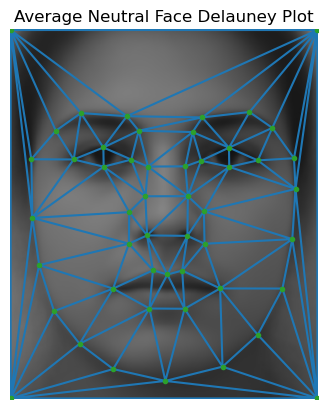 Delauney triangularization plot of the average neutral face