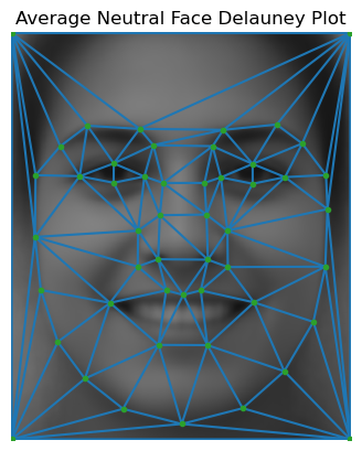 Delauney triangularization plot of the average smiling face